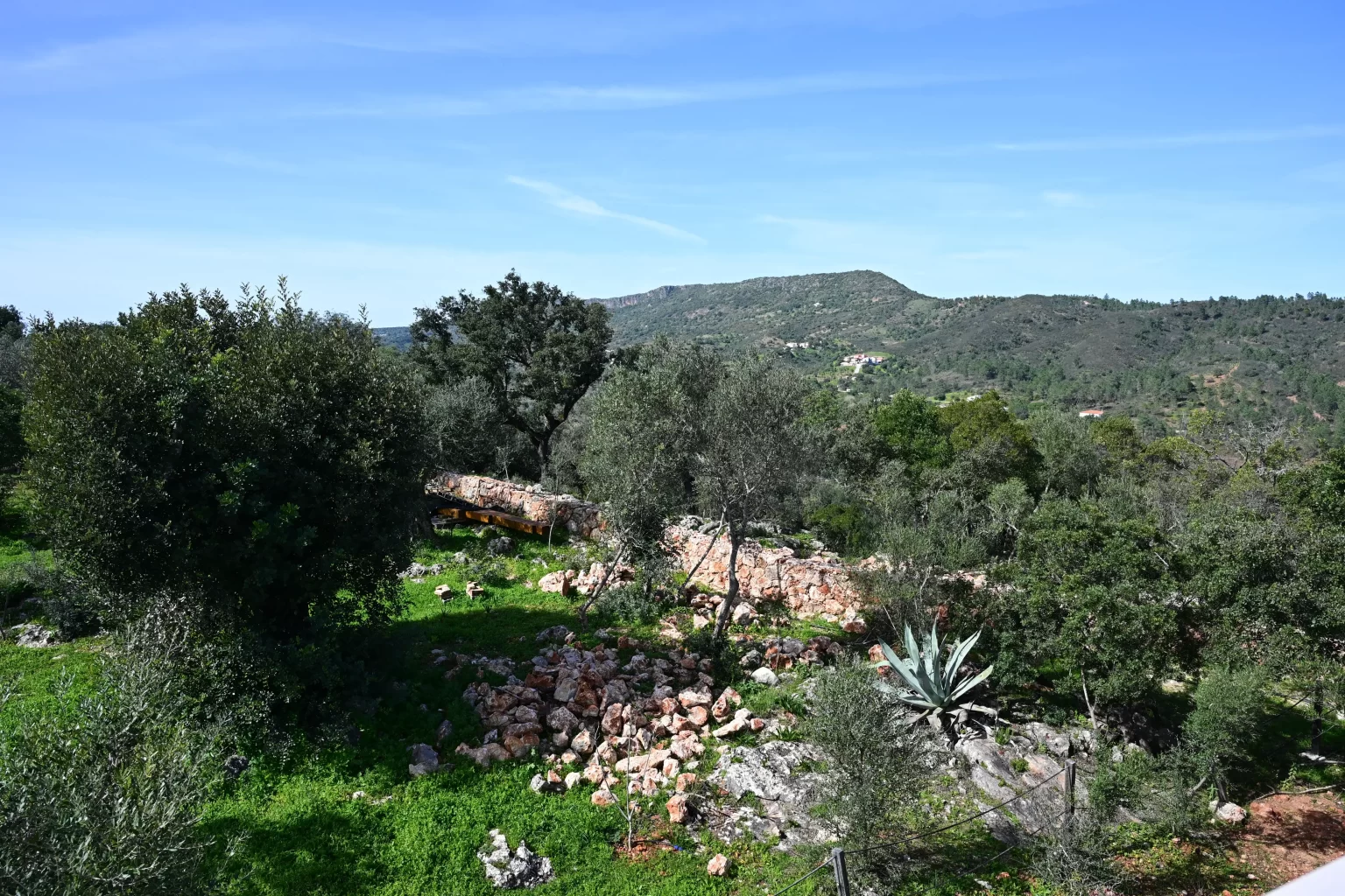 JARDIN ARRIÈRE